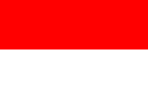 Indonesien | VoIP | Entirnet